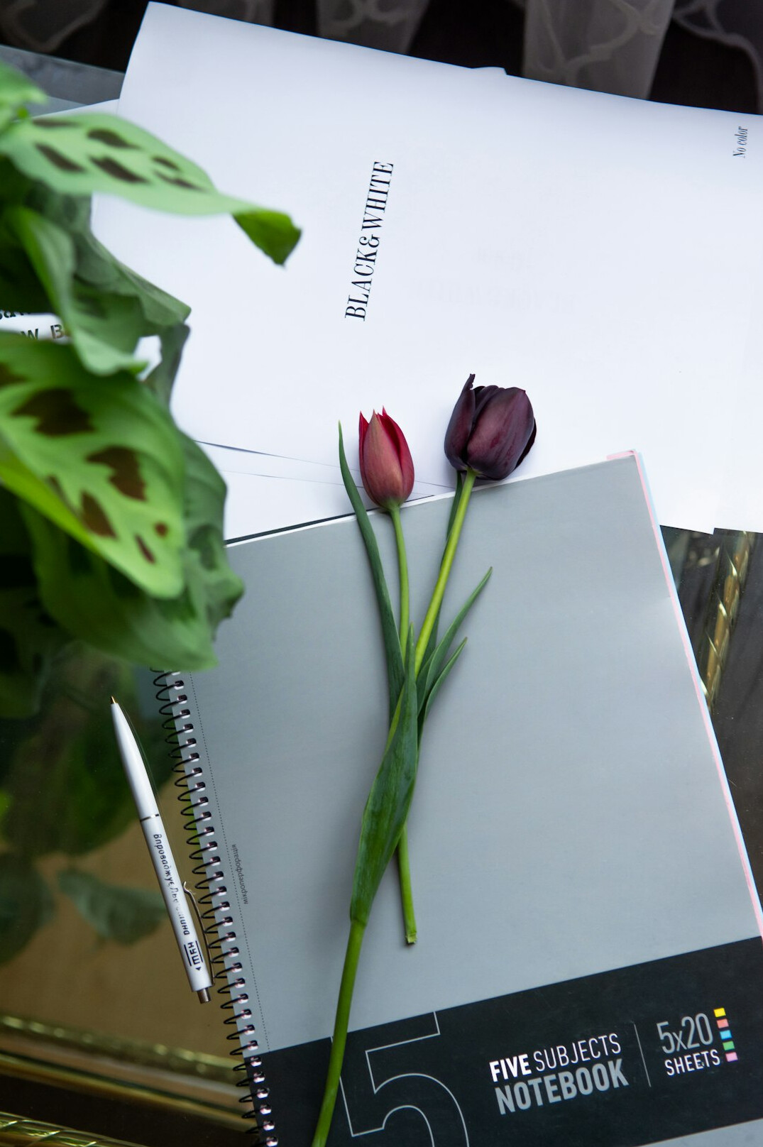 Open notebook with a pen on a desk