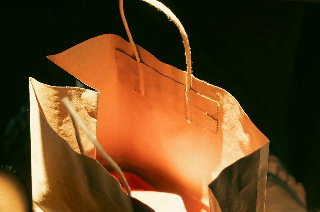 thief hiding item in bag